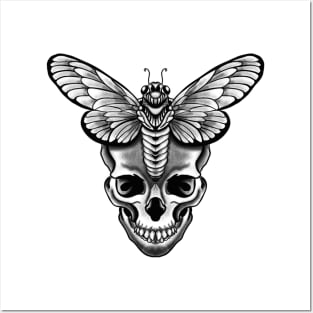 Moth Insect Scull Posters and Art